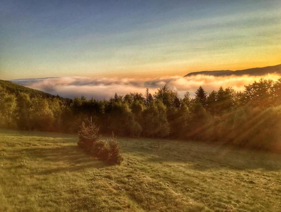 Domek Gorski Na Polanie Goryczkowej 700 M Npm - Szczyrk Dojazd Samochodem Terenowym, W Zimie Utrudniony - Wymagane Lancuchy Esterno foto