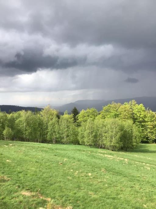 Domek Gorski Na Polanie Goryczkowej 700 M Npm - Szczyrk Dojazd Samochodem Terenowym, W Zimie Utrudniony - Wymagane Lancuchy Esterno foto